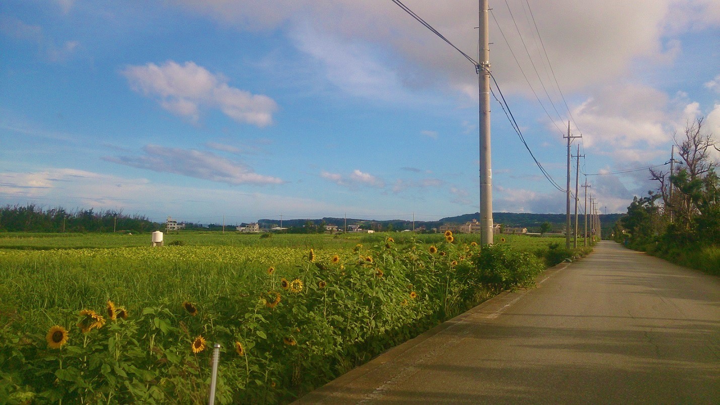 夏の道.jpg